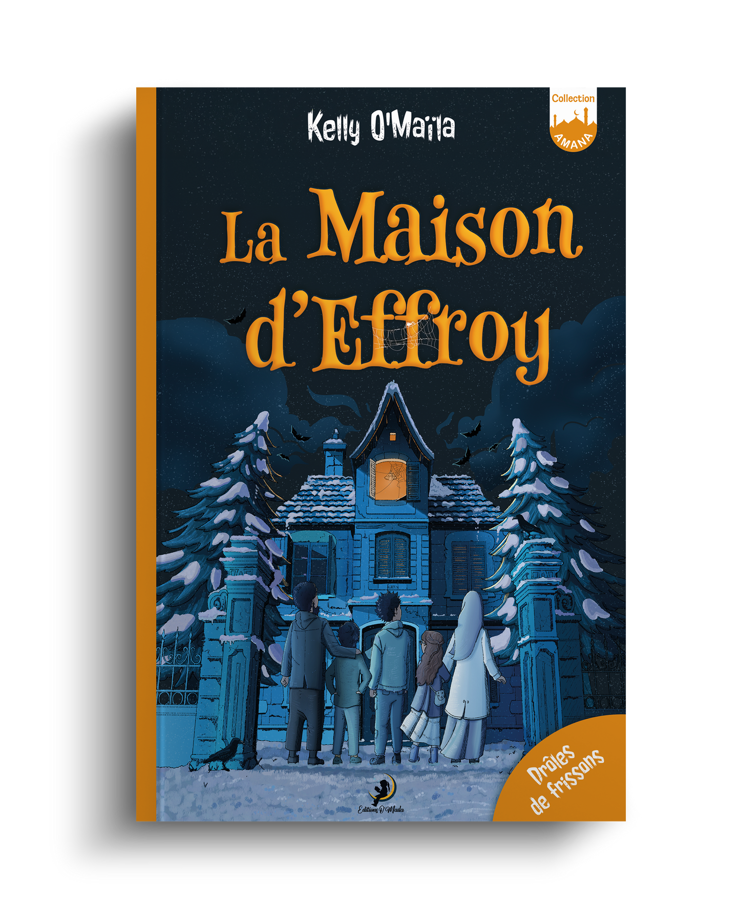 La maison d'Effroy - Série à frissons