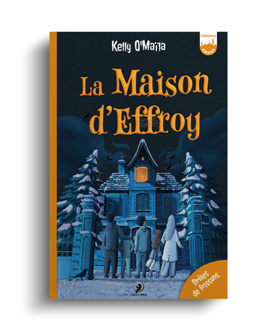 La maison d'Effroy - Série à frissons